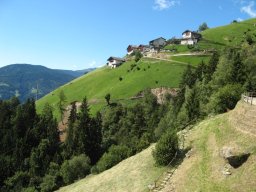 IMG_1217