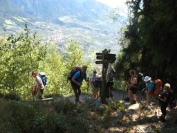 IMG_1235