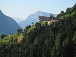 IMG_1251