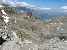 IMG_1376