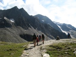 IMG_1384
