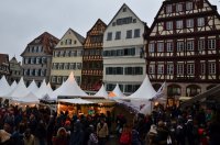 2014_Tübingen