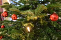 2014 Weihnachtsfeier