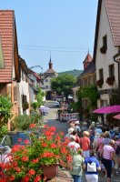 2015 Senioren am Kaiserstuhl