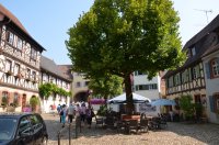 2015 Senioren am Kaiserstuhl