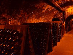 2015 Senioren am Kaiserstuhl