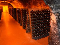 2015 Senioren am Kaiserstuhl