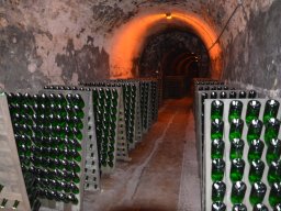 2015 Senioren am Kaiserstuhl