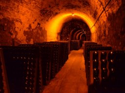 2015 Senioren am Kaiserstuhl