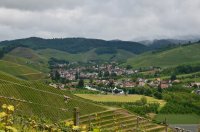 2016 Durbach