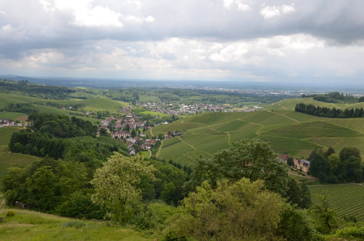 2016 Durbach