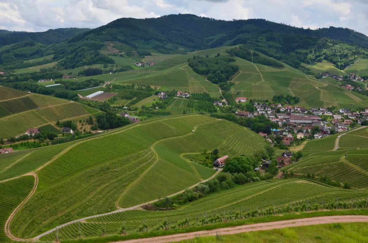 2016 Durbach