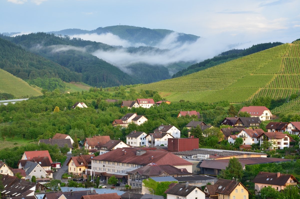 2016 Durbach