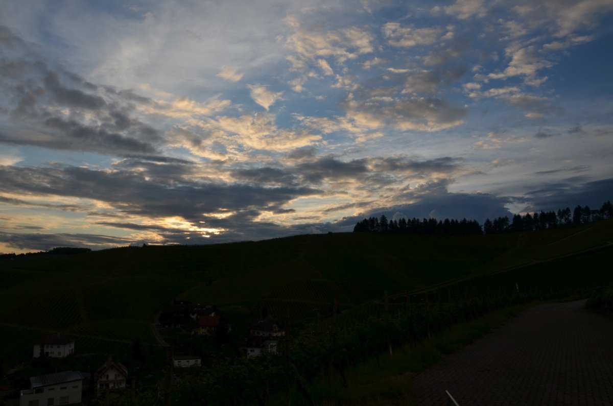 2016 Durbach
