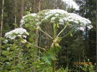 2016 Stettener Panoramaweg