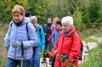 2016 Vulkanweg Höwenegg