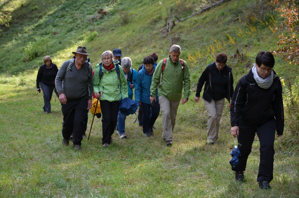 2016 Vulkanweg Höwenegg