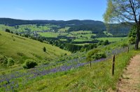 2017_Bernau