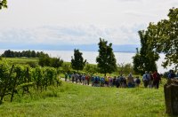 2017 Freundschaftstreffen