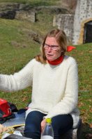 2017_Hohenhewen