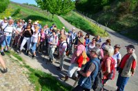 2018_Kaiserstuhl