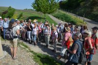 2018 Kaiserstuhl