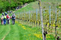 2018 Kaiserstuhl