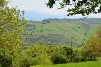 2018 Kaiserstuhl