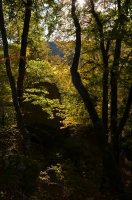 2018 Risiberg