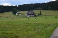 2018 Schollacher Höhenweg