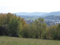 2019 Krebsbachtal
