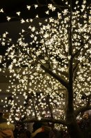 2019 Weihnachtsmarkt