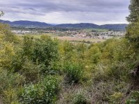 2020 Dienstagswanderung Nenzingen