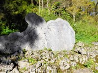 2021 Schäferweg