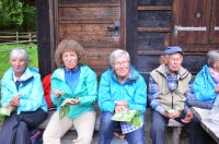 2022 Wanderung ins Blaue