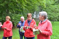2022 Wanderung ins Blaue