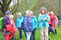 2022 Wanderung ins Blaue