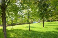 2022 Wanderung ins Blaue