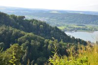 2023 Abendwanderung auf dem Bodanrück