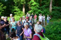 2023 Abendwanderung auf dem Bodanrück