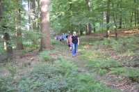 2023 Abendwanderung auf dem Bodanrück