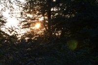 2023 Abendwanderung auf dem Bodanrück