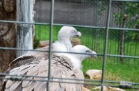 2023 Seniorenausflug Wilhelma