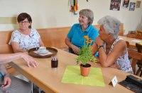 2023 Sommerfest