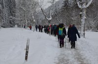 2023 Winterwanderung Oberstdorf