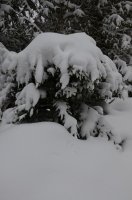 2023 Winterwanderung Oberstdorf