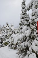 2023 Winterwanderung Oberstdorf