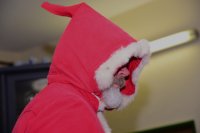 2024 Weihnachtsfeier