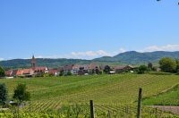 2025 Kaiserstuhl