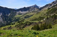 2025 Tannheimer Tal